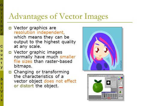 Image result for Vector Data Advantages