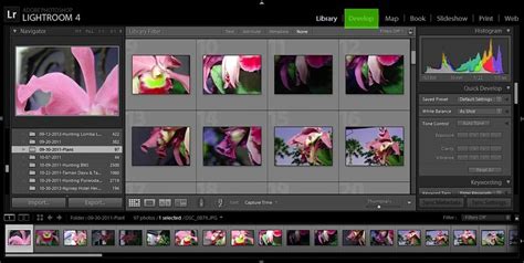 Toradh íomhá ar Install Lightroom Presets