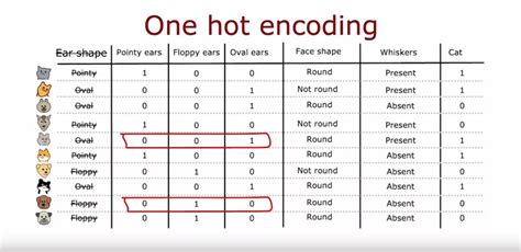One Hot Encoding in NLP Examples に対する画像結果