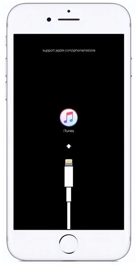 Image result for USB Black Screen iPhone