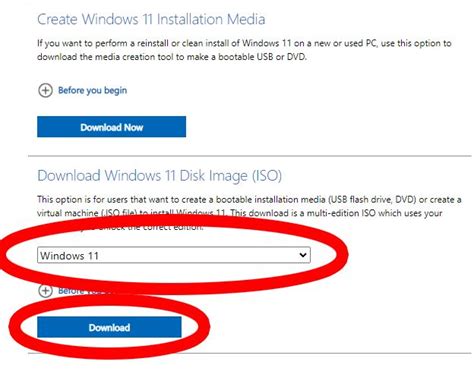 Toradh íomhá ar Windows 11 ISO Image Download