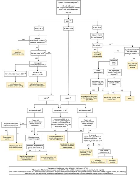 Image result for Anemia Work Up Algorithm