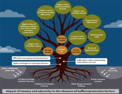 Image result for Trauma-Informed Physical Environment