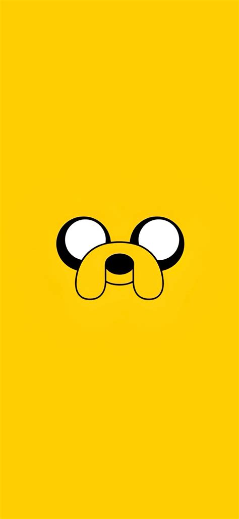 Image result for Old Jake Adventure Time