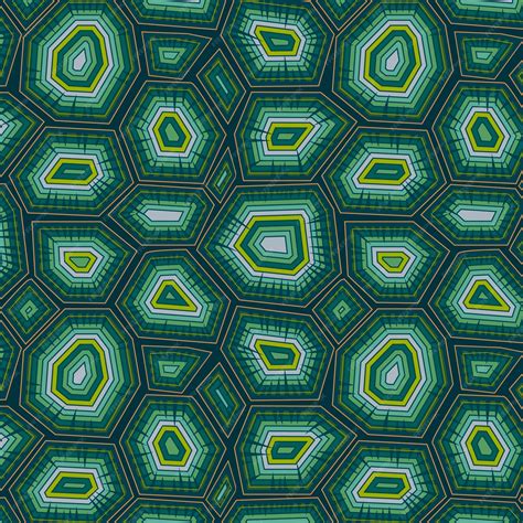 Image result for A Small Turtle with a Pattern Shell