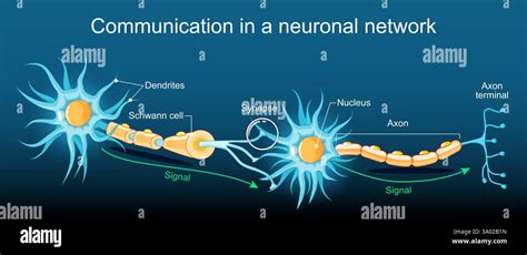 Toradh íomhá ar Neuron Connection Brain Illustration with Deep Learning
