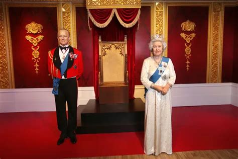 Image result for Royal Python Setup Guide