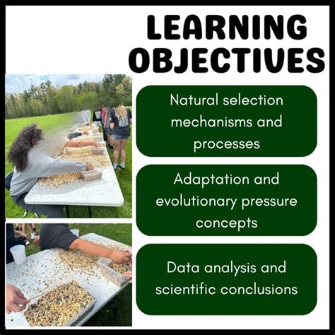 Toradh íomhá ar Evolution Bird Length Natural Selection Lab Bio 1102 Graph Answer Key