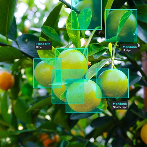 Image result for Computer Vision Vegitable