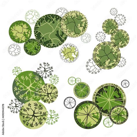 Image result for TreePlan Vector