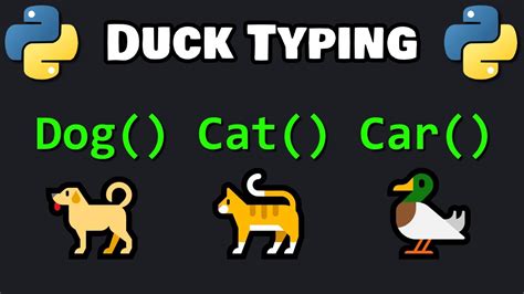 Image result for Duck Typing in Python Memes