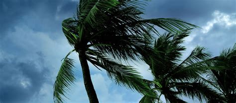 FPL Truck-এর ছবি ফলাফল