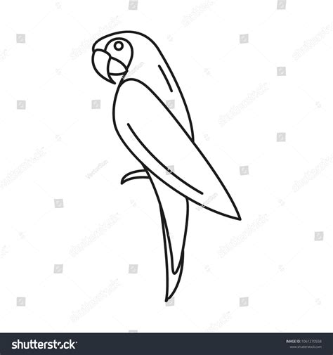 Image result for Parrot Head Outline