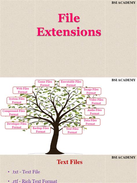Image result for File Extenction for All Coding Languages