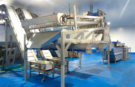 Toradh íomhá ar Sardines Process