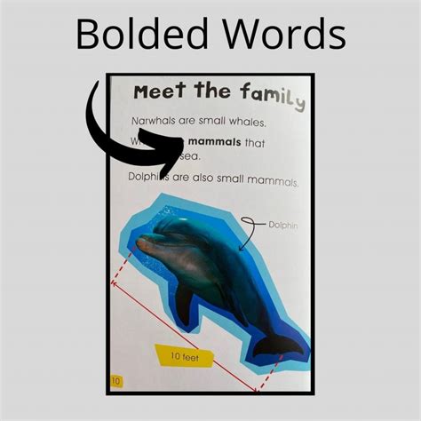 Image result for Text Features Book