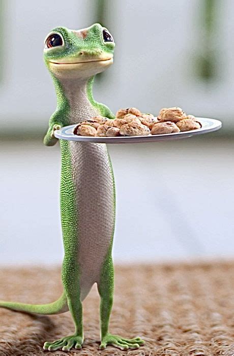 Toradh íomhá ar GEICO Lizard Running