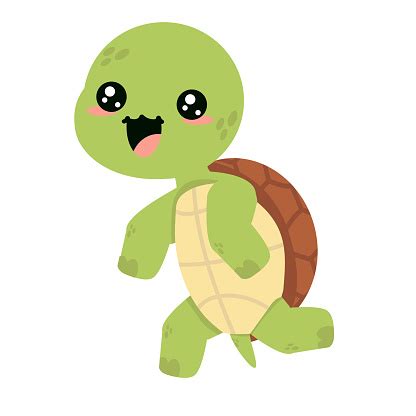 Cute Turtle Design Shell に対する画像結果