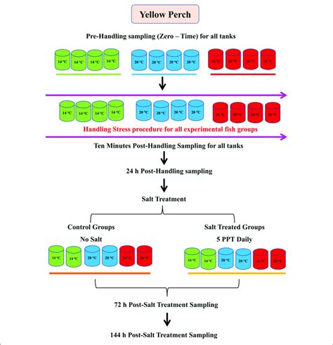 Image result for Experimental Sampling Design Example