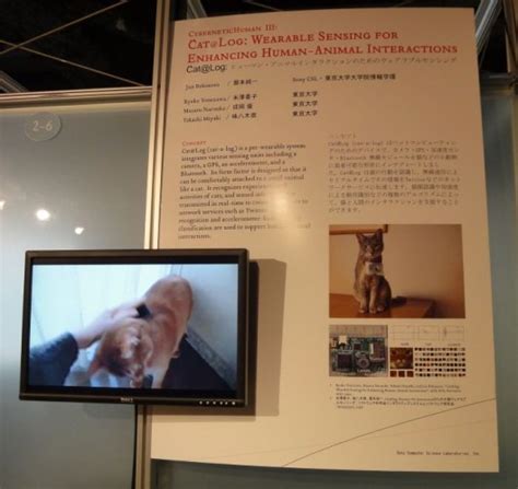 Image result for Cat Logging