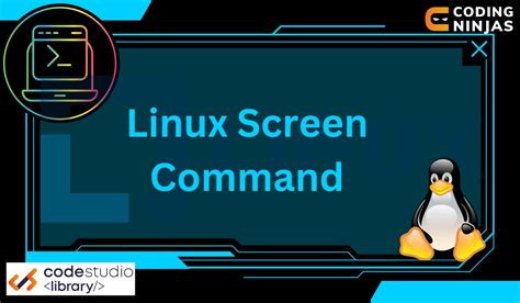 Image result for Linux Instrallation Screen