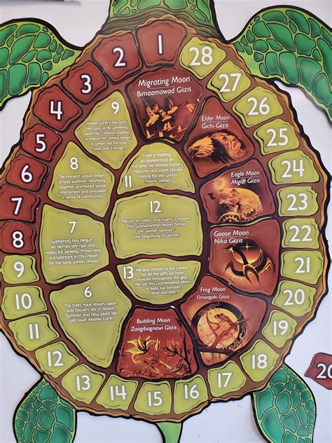 Toradh íomhá ar Turtle Shell Calendar