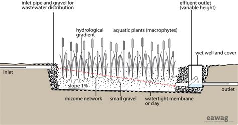 Subsurface Flow Constructed に対する画像結果