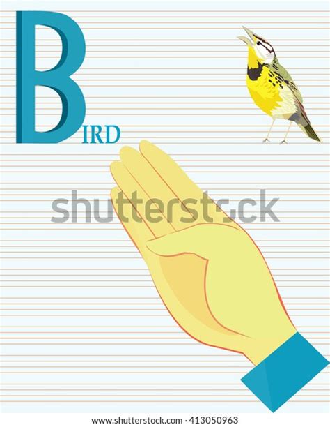 Image result for Sign Language B Human Hand