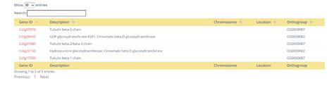 Toradh íomhá ar Ruby On Rails DataTable