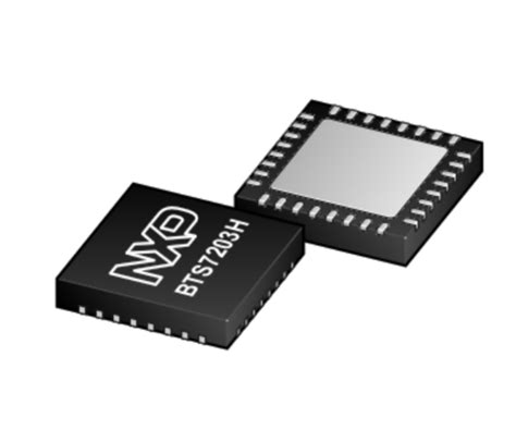 Image result for NXP Module for Inlay