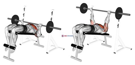Afbeeldingsresultaten voor Decline Chest Press Machine