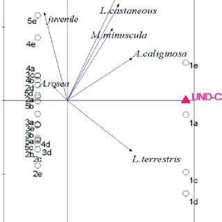 Image result for Randomized Block Experiment