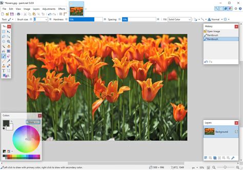 Paint.NET Official Website に対する画像結果