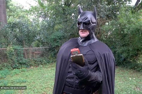 Image result for UK Bat Detector App