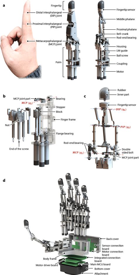 Image result for Robotic Finger Schematic