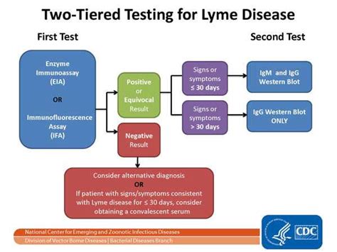 Afbeeldingsresultaten voor +Cdiff Testing Decision Tree CDC