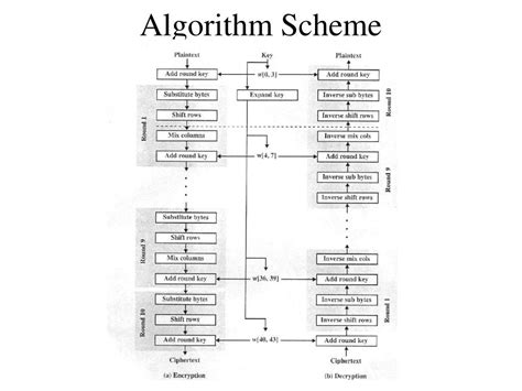Image result for Switch in Algorithm Scheme