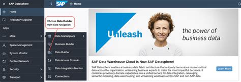 Image result for SAP Data Stool