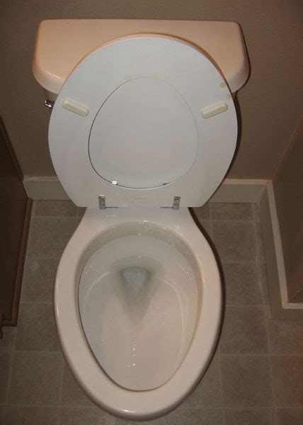 Image result for Toilet Kind