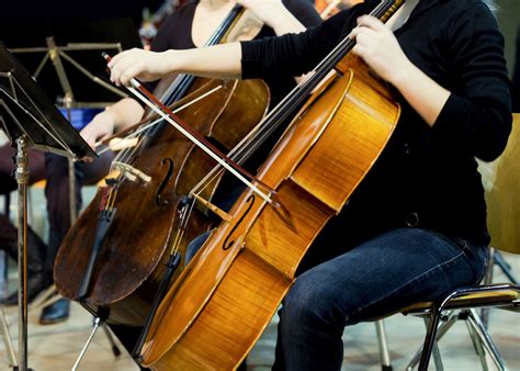 cello に対する画像結果