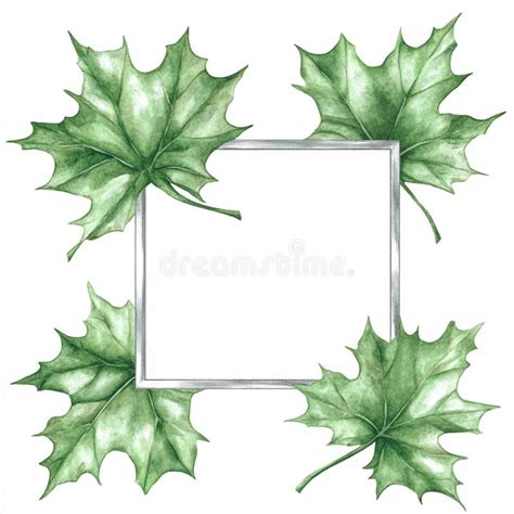 Afbeeldingsresultaten voor Frame Card Plants