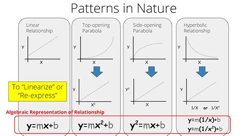 Image result for Acceleration Formla Graph