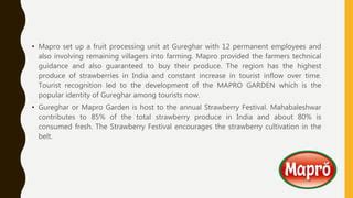 Image result for Mapro Annual Report PDF