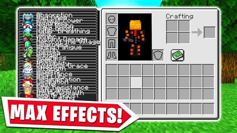 Image result for Effect Minecraft
