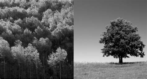 Image result for Breadth vs Depth Modeling