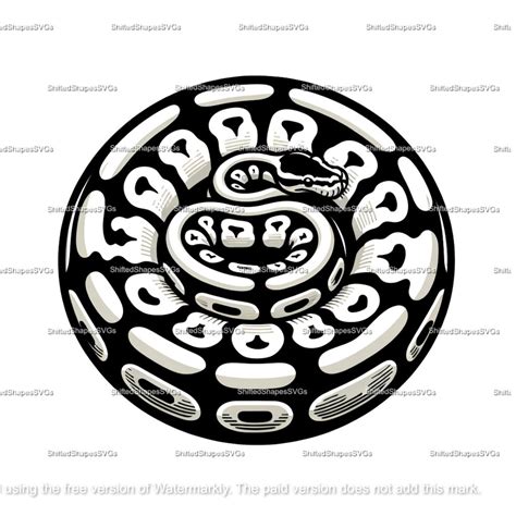 Image result for Python SVF