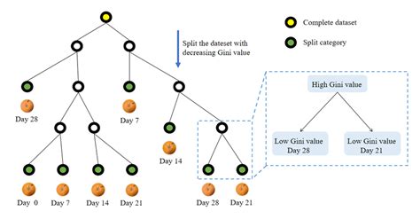 Carte Variable Selection Tree に対する画像結果