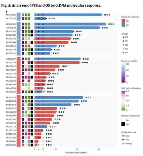 Phase Randomized に対する画像結果