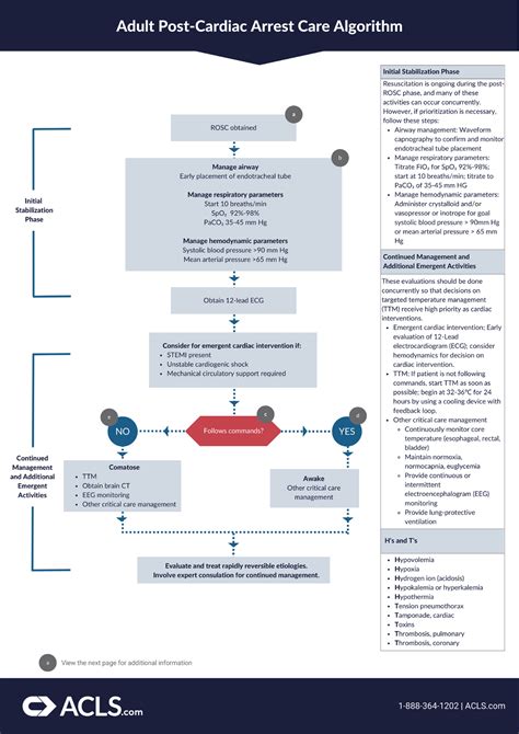 Post Cardiac Arrest Algorithm Peadiatric に対する画像結果