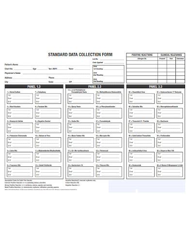 Image result for Data Collection Form Template
